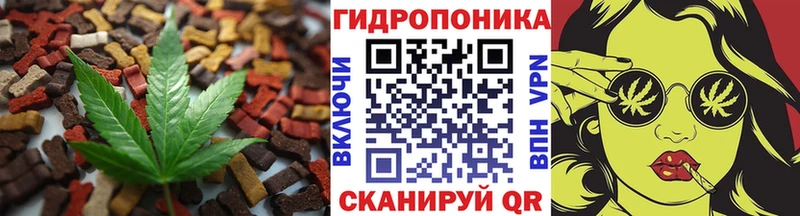 omg маркетплейс  Среднеколымск  Печенье с ТГК марихуана 