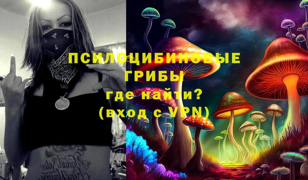 ешки Армянск